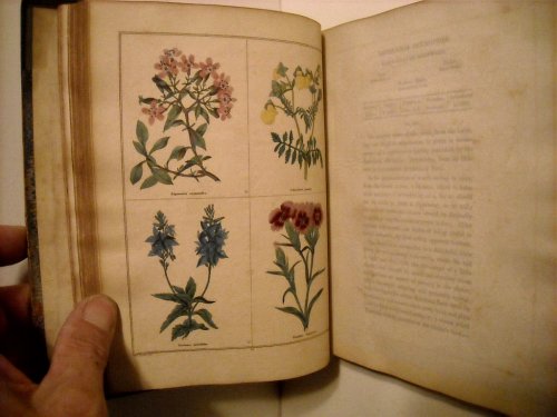 Botanic Garden: Consisting of Highly Finished Representations of Hardy Ornamental Flowering Plants Culktivated in Great Britain with Their Classification, History, Cultue & Other Interesting Information. Vols I-III.